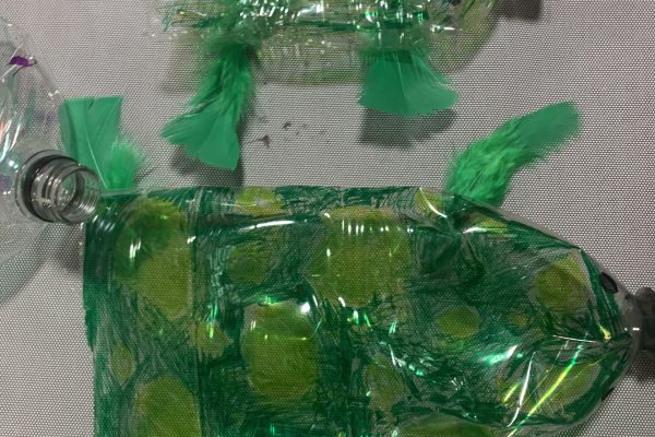 Two plastic bottles coloured green with colouring pencil with feathers stuck on them.