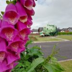 A foxglove with a WW1, fireless locomotive, Sir James in the background.